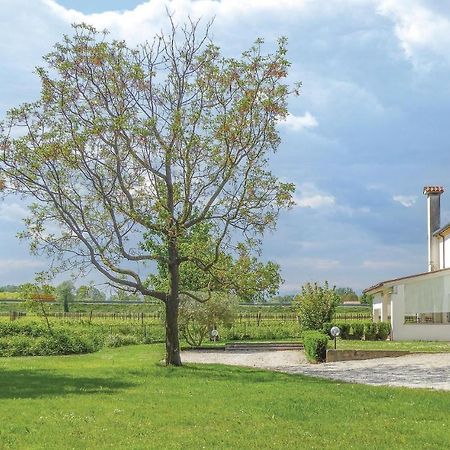 فيلا Casa Di Mamy Sant'Elena di Silea المظهر الخارجي الصورة